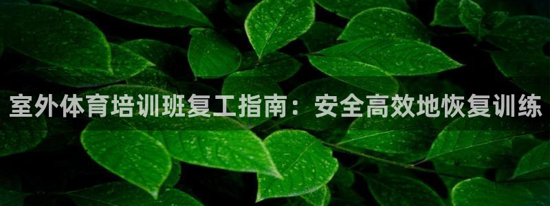 欧陆娱乐分分彩：室外体育培训班复工指南：安全高效地恢