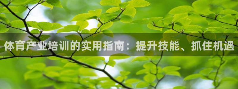 欧陆娱乐是资金盘吗：体育产业培训的实用指南：提升技能