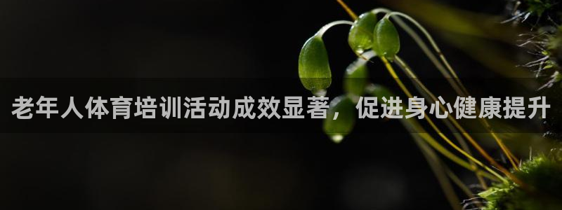 欧陆娱乐挂机项目怎么弄：老年人体育培训活动成效显著，