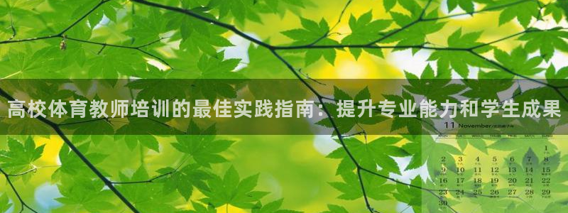 欧陆娱乐官网注册中心：高校体育教师培训的最佳实践指南