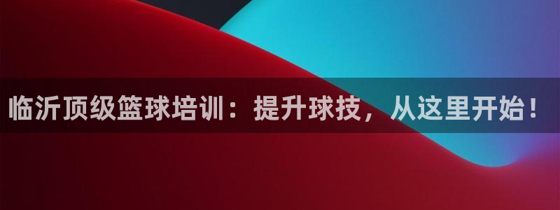 欧陆娱乐共创美好：临沂顶级篮球培训：提升球技，从这里